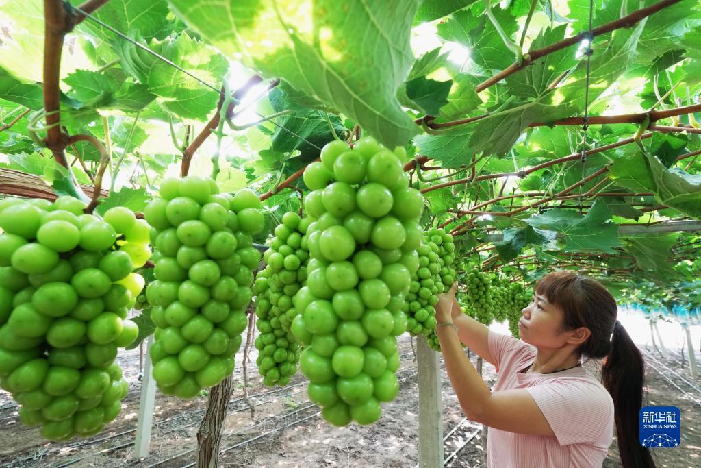老虎机吐分预兆